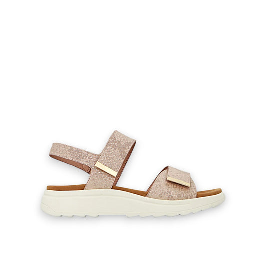 PANACHE PAULINE - SALMON