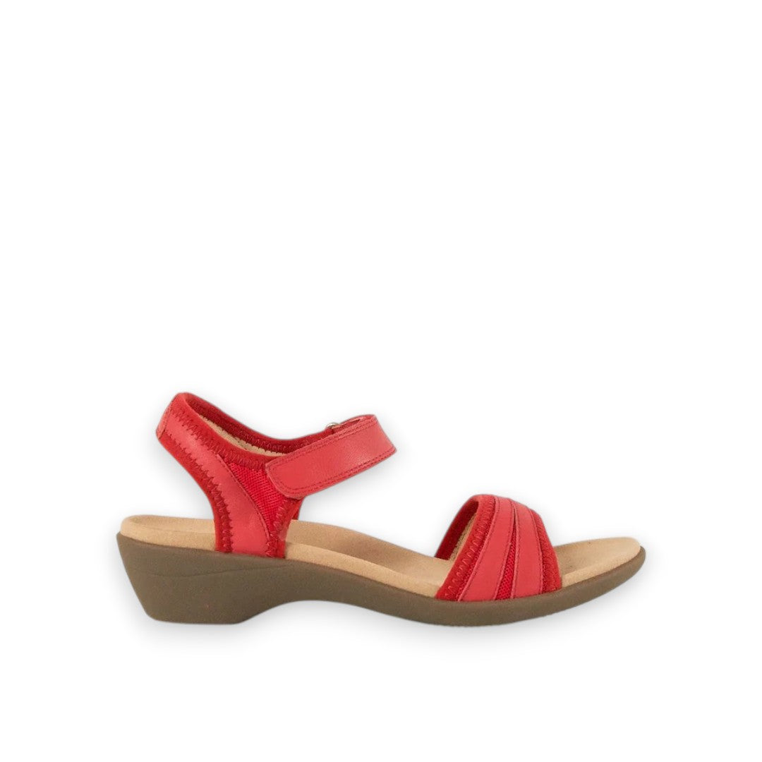 HUSH PUPPIES AMAZING - RED MAPLE