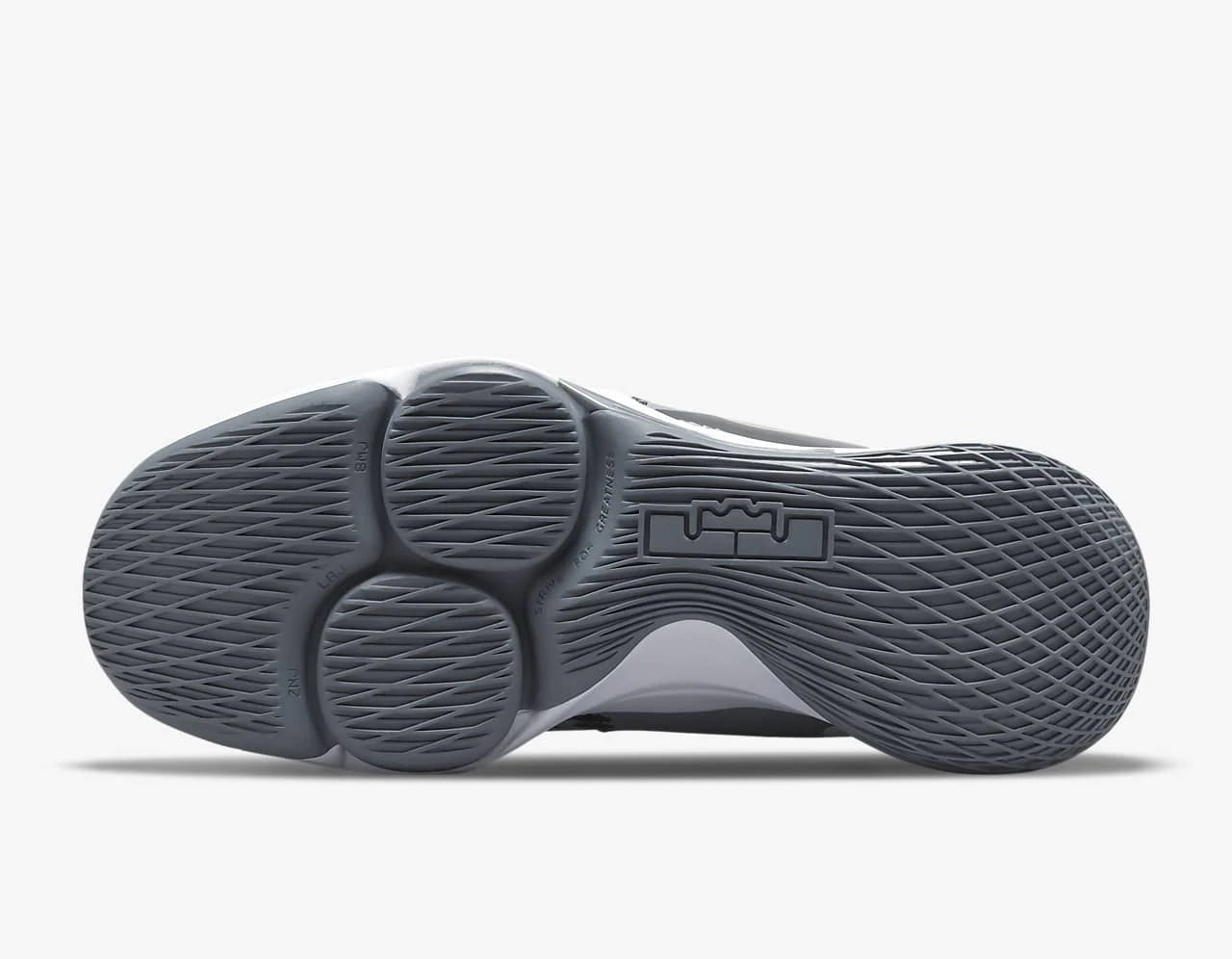 NIKE LEBRON WITNESS V - COOL GREY/WHITE-BLACK