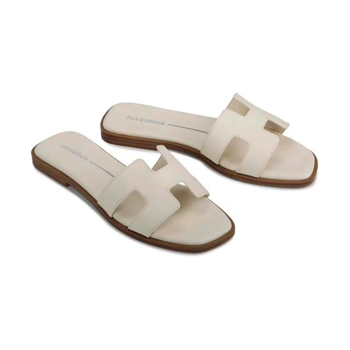 LOS CABOS HACETTE - BONE