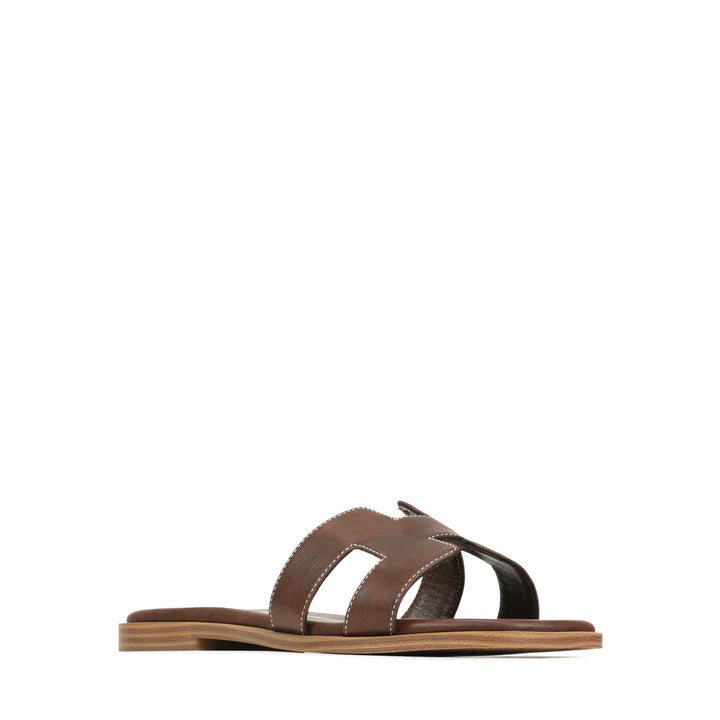 LOS CABOS HACETTE - MOCHA