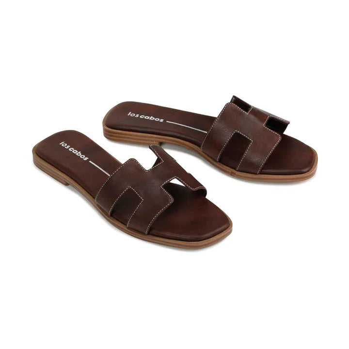 LOS CABOS HACETTE - MOCHA