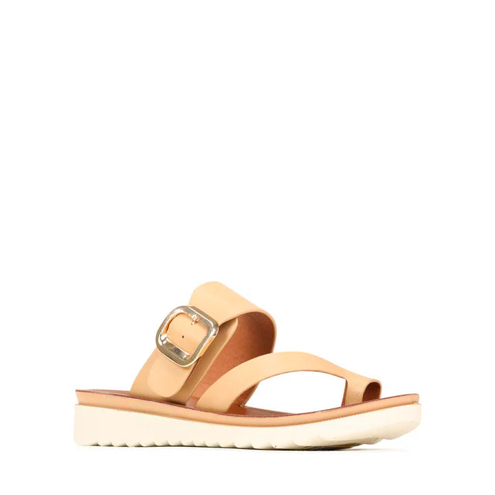 LOS CABOS KATH - CAMEL