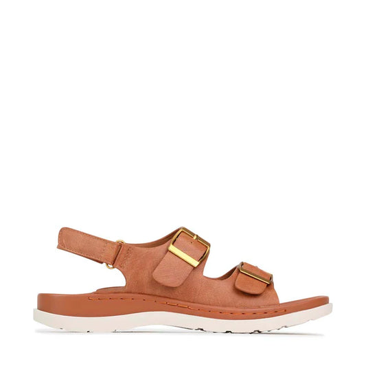 LOS CABOS SABOS - CHOCOLATE