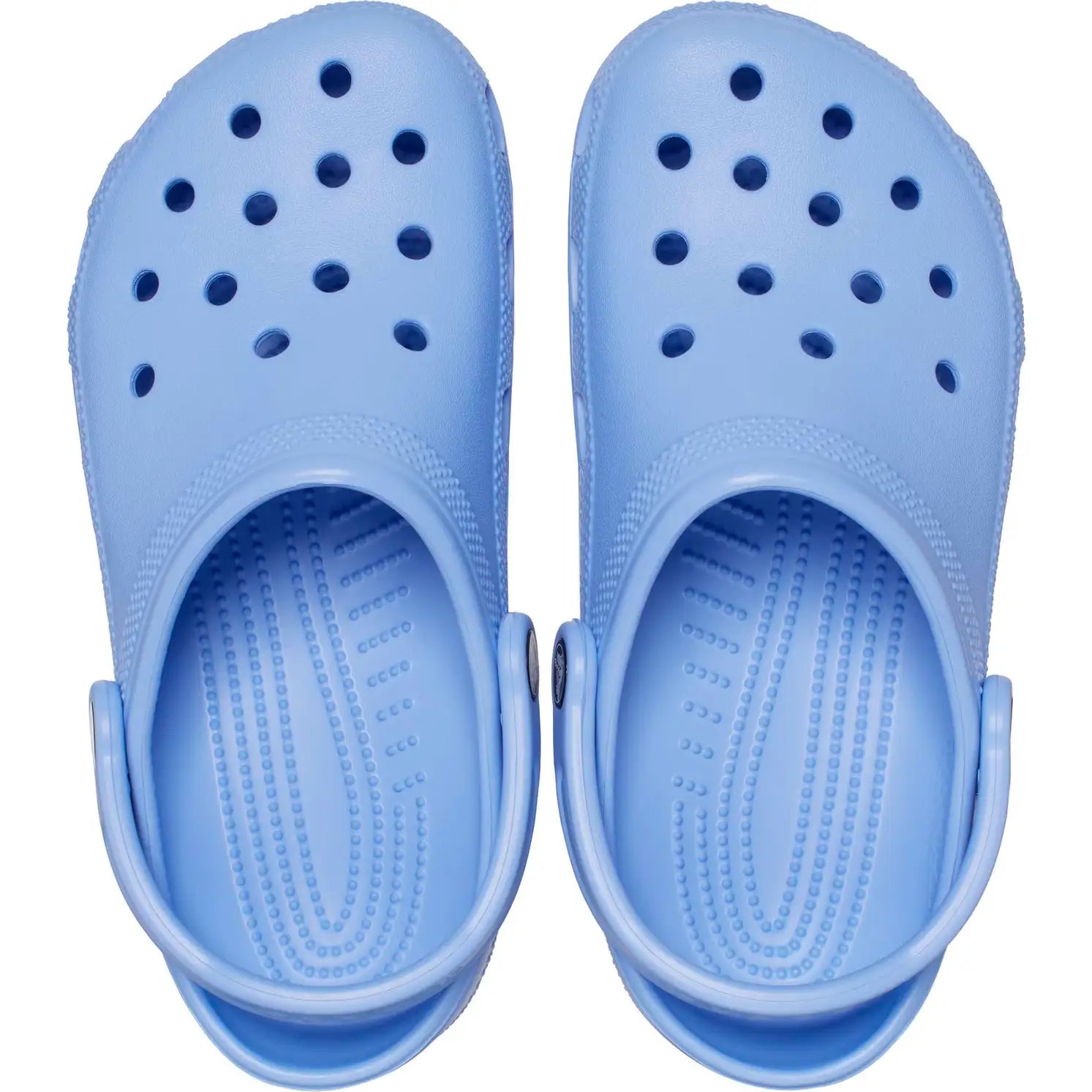 Jelly crocs outlet